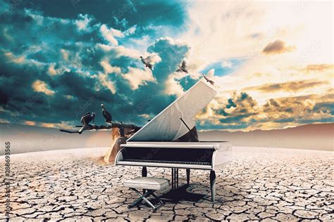 Piano in nature.Surreal image related to piano music,song and melody ...