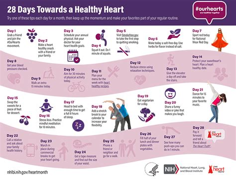 28 Days Towards a Healthy Heart: Celebrate Heart Month 2020 | Sarver Heart Center