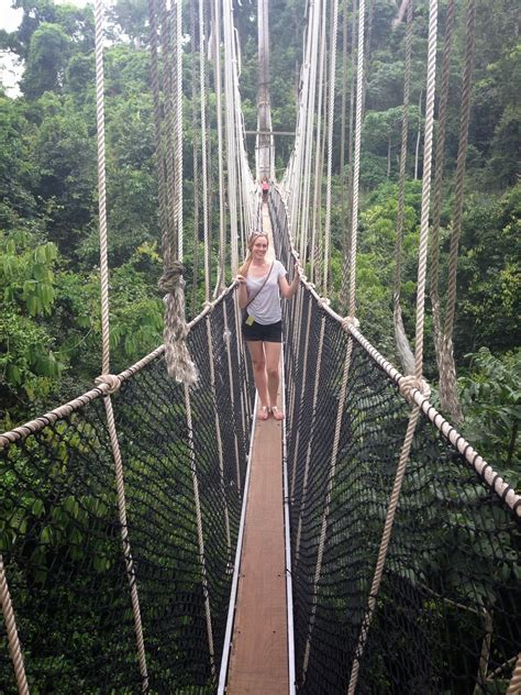 BOA ME NA ME MMOA WO: Sightseeing: Kakum National Park