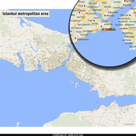 ScalableMaps: Vector map of Istanbul (gmap regional map theme) | Map vector, Map, Vector