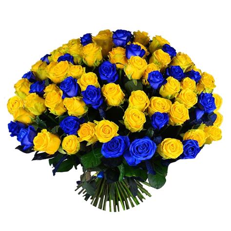 Buy beautiful bouquet «101 Yellow and blue roses» with delivery