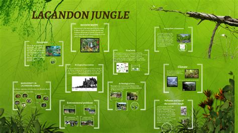 LACANDON JUNGLE by lucero García on Prezi