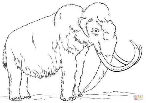 Woolly Mammoth coloring page | Free Printable Coloring Pages