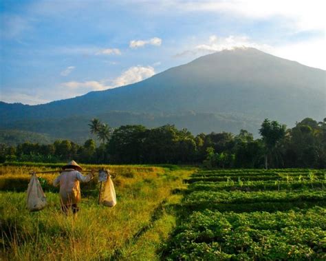 Cerpen Kampung Halaman – Sketsa