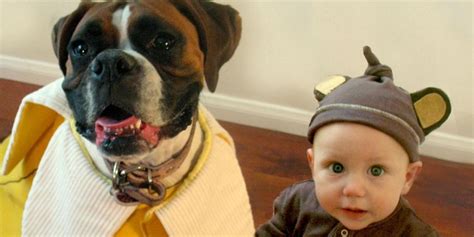 Adorable Boy And His Dog Coordinate Halloween Costumes Every Year | HuffPost