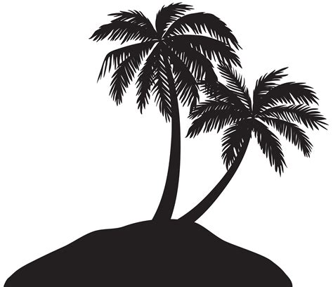 Palmera imágenes PNG, descargar fotos gratis