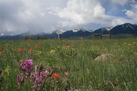 The Essential Herbal Blog: X Gardening in the High Country of Colorado