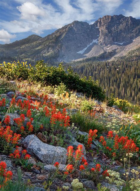 Wasatch Mountains Of Utah Photograph by Douglas Pulsipher