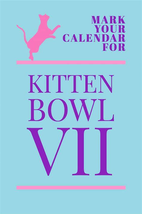 Kitten Bowl VII is Coming!