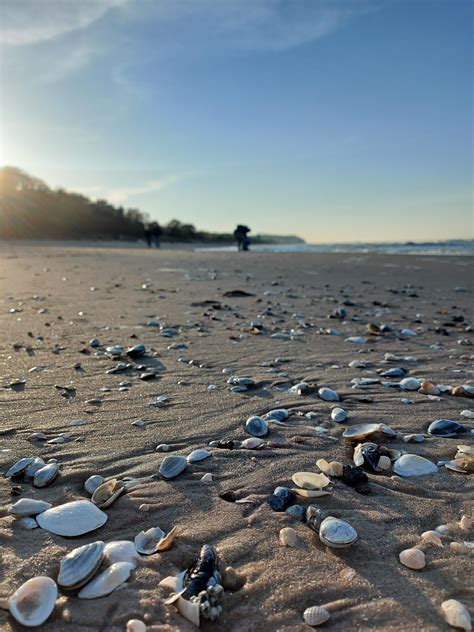 Premium Photo | Usedom beach