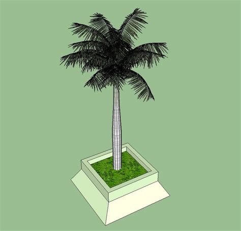 Coconut tree detail 3d model CAD blocks layout sketch-up file - Cadbull