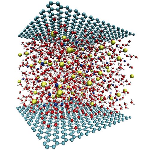 Computer Simulation; Computer Models; Models, Computer