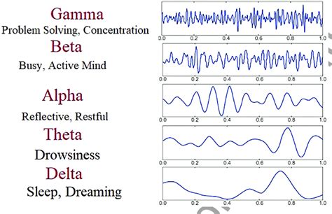 Eeg Brain Waves