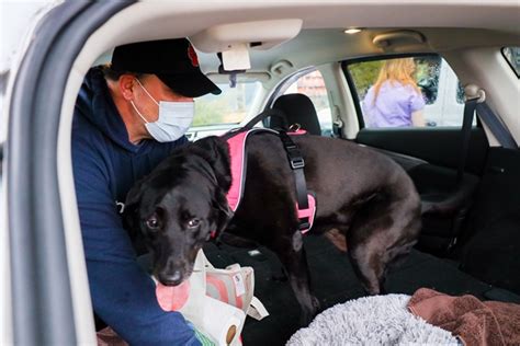 Hamptonburgh Animal Hospital Patient Gallery | Vet Clinic In Campbell Hall, NY