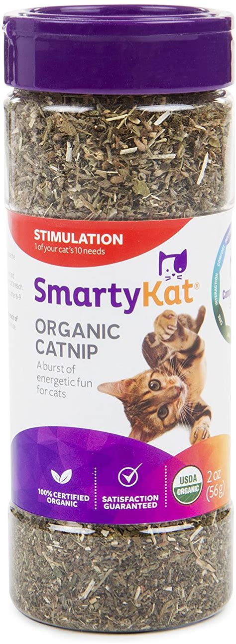 The Best Catnip for Cats: Indulging Your Kitty's Fun Side