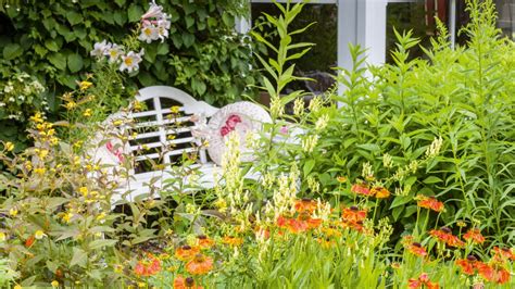 Cottage garden plants – 12 floral must-haves in your cottage garden ...