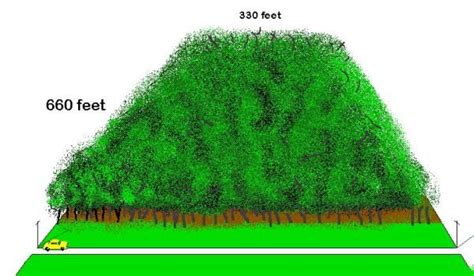 Just How Big IS 5 Acres, Anyway?