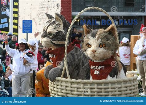 Kittens in a Basket editorial stock image. Image of crowd - 28425439