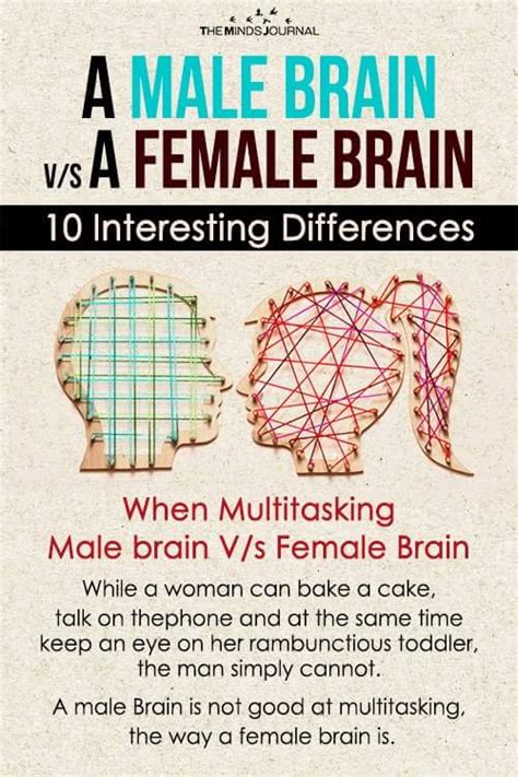 Differences Between Male And Female Brains Psychology - BRAINLYVI