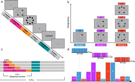 Schematic of the backward masking majority function task (MFT-M).: (a)... | Download Scientific ...