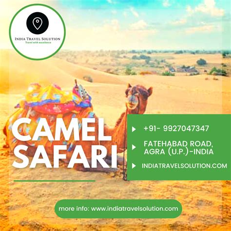 Golden Triangle Tours with Camel Safari - India Travel Solution - Medium