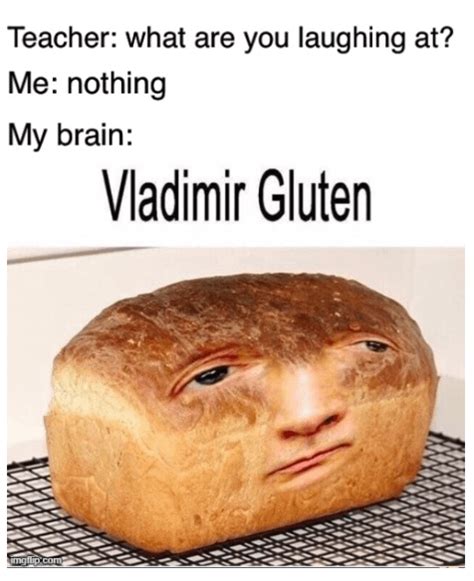 vladimir gluten is amazing : r/memes