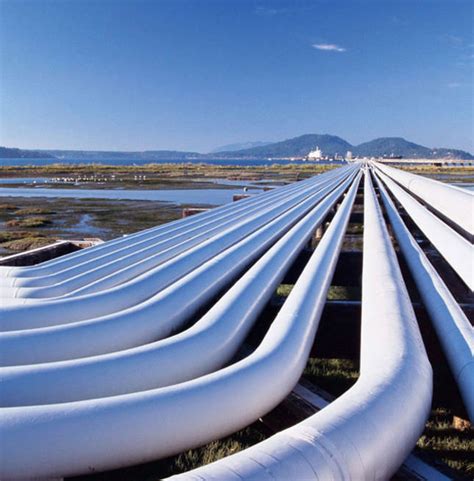 Turkey’s Zorlu Holding to build natural gas pipeline from Israel to Turkey | Daily Sabah