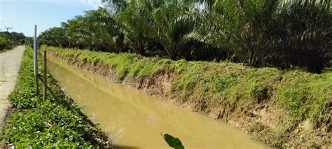 Irrigation Canal Cross Section Stock Image - Image of canal, river: 240908355