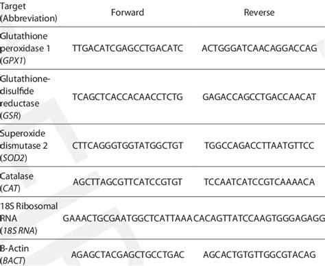 qPCR primers used in the experiment | Download Scientific Diagram