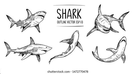 Hand Drawn Shark: Over 9,789 Royalty-Free Licensable Stock Vectors & Vector Art | Shutterstock