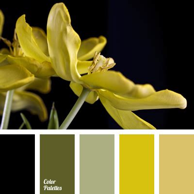 dull olive color | Color Palette Ideas