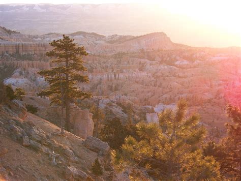 Bryce Canyon Sunrise Free Photo Download | FreeImages