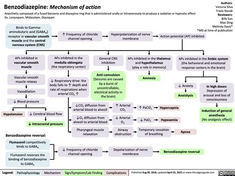 Benzodiazepine Mechanism of Action | Calgary Guide