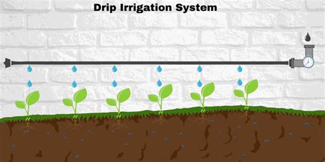 Drip Irrigation: Introduction & Advantages