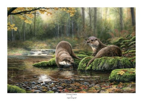 British wildlife art, British wildlife, Wildlife artists