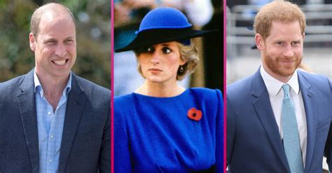 Prince William and Prince Harry agree to Princess Diana tribute