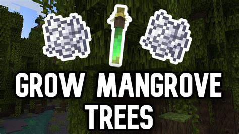 How To Grow Mangrove Trees In Minecraft - YouTube