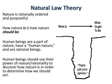 Natural Law Theory - Law and Government