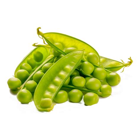 Soybean Plant - Pea Plant Pod Vegetable Legume 25107498 PNG