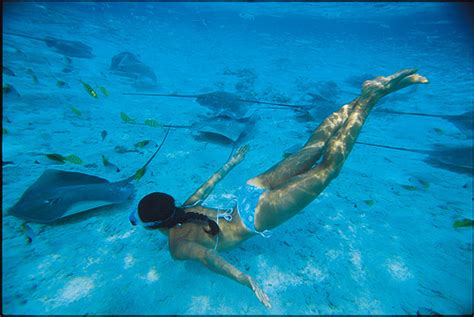 Exotic Places: Bora Bora Snorkeling