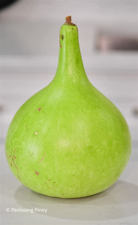 Upo Recipes (Bottle Gourd) - Panlasang Pinoy