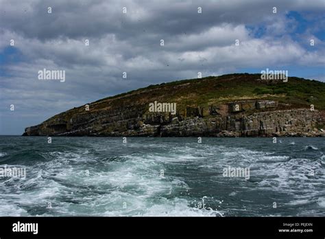 Trip around Puffin Island Stock Photo - Alamy