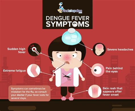 ways to prevent dengue fever - Tracey Lawrence