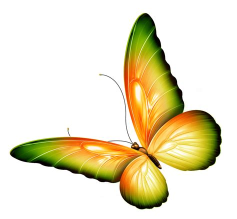 Green Butterfly Clipart - Cliparts.co