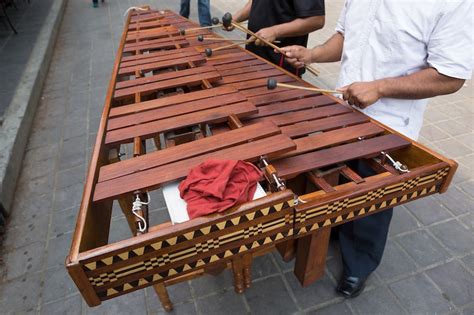 15 Fun And Interesting Facts About The Marimba