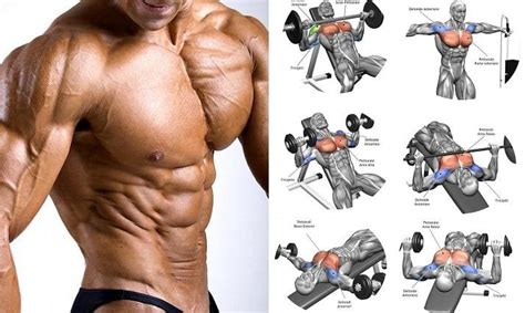 Workouts : Top 10 Best Chest Building Exercises of All Time | Chest ...