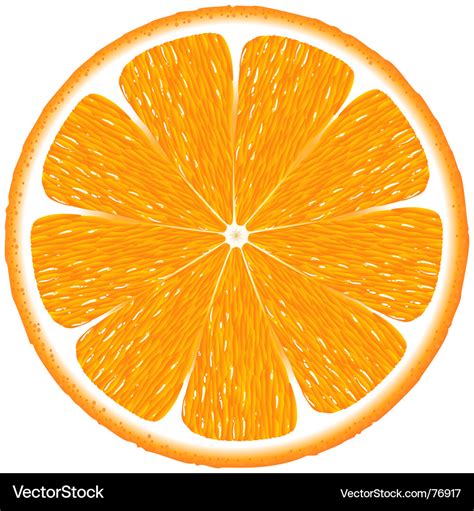 Orange Royalty Free Vector Image - VectorStock