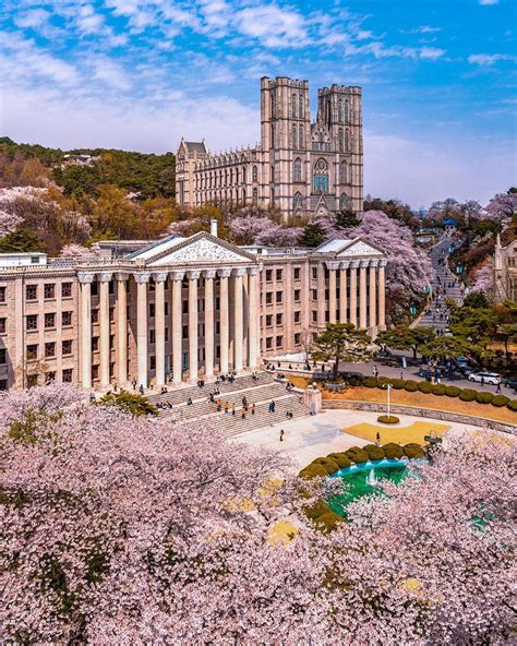 Cherry blossoms in Kyung Hee University Seoul South Korea [10801350] #city #cities #buildings # ...