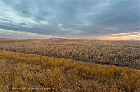 Montana Great Plains Country