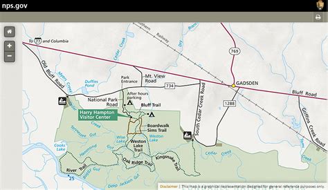 Tall Trees at Congaree National Park